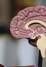 The Science Behind Self-Discovery: An Introduction to Psychometrics